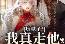 玩腻了?我真走他又不高兴阮柠贺宴川小说完结版章节在线阅读-读书翁