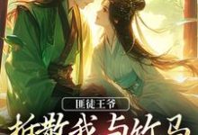 完结版《匪徒王爷拆散我与竹马,逼我嫁他!》在线免费阅读-读书翁