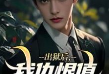 出狱后,我仇恨值加倍最新章节,出狱后,我仇恨值加倍免费阅读-读书翁