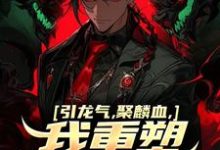 引龙气,聚麟血,我重塑天灵血脉小说最新章节在哪里可以读到?-读书翁