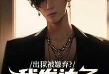 出狱被嫌弃？我发达了你们求啥原谅林凡林擎苍小说在线章节目录阅读最新章节-读书翁