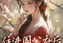 住进国公府后，我成了香饽饽！这本小说在哪里可以看？哪里有免费试读章节？-读书翁