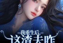 《我重生后，这渣夫咋还换人格了》小说大结局免费试读 沈行舟林菀宁小说-读书翁