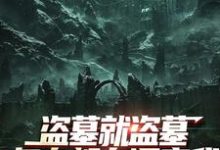 《盗墓就盗墓,怎么都在调查我》小说章节在线试读,《盗墓就盗墓,怎么都在调查我》最新章节目录-读书翁