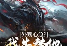 免费看外甥心急?我先替他打江山小说的网站有哪些?-读书翁