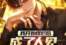 《我开始摆烂后，成了人见人怕的讼棍》小说章节列表免费试读，叶辰小说在线阅读-读书翁