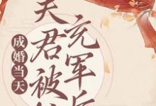 已完结小说《成婚当天，夫君被抓充军后》在线章节阅读-读书翁