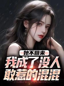 小说《她不回来，我成了没人敢惹的混混》在线章节阅读