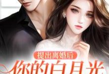 提出离婚后，你的白月光怎么不香了小说全文哪里可以免费看？-读书翁