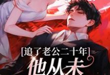寻找追了老公二十年,他从未认真对待我小说的最新更新章节-读书翁