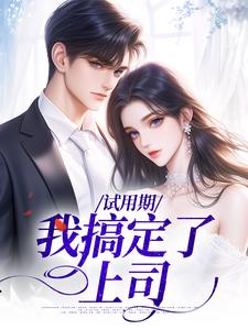 完结版《试用期，我搞定了上司》在线免费阅读