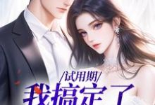 试用期，我搞定了上司最新章节，试用期，我搞定了上司免费阅读-读书翁