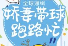 全球通缉：娇妻带球跑路忙小说，全球通缉：娇妻带球跑路忙沈云嫣凌亦-读书翁