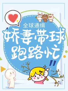 全球通缉：娇妻带球跑路忙小说，全球通缉：娇妻带球跑路忙沈云嫣凌亦