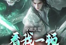 吴天后土小说完结版在线阅读，穿越洪荒：看我一顿骚操作免费看-读书翁