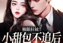 极限拉扯！小甜包不追后男神他慌了小说的无弹窗阅读体验，寻找免费阅读网站-读书翁