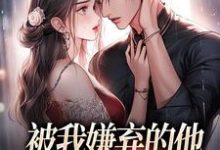 哪里可以免费找到被我嫌弃的他，竟成了我的港湾？-读书翁