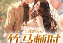 当我消失后，竹马顿时衰神附体免费阅读，当我消失后，竹马顿时衰神附体云糯白皎皎-读书翁