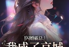 闪婚霸总,我成了京城千亿宠儿沈瓷霍靳尧,闪婚霸总,我成了京城千亿宠儿在线无弹窗阅读-读书翁