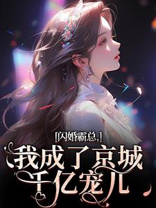 闪婚霸总，我成了京城千亿宠儿沈瓷霍靳尧，闪婚霸总，我成了京城千亿宠儿在线无弹窗阅读