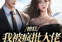 糟糕，我被疯批大佬缠上了！（莫妗笙凌寅燊）在线免费阅读-读书翁