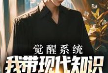 觉醒系统，我带现代知识到赤红年代小说有没有完结版在线？-读书翁