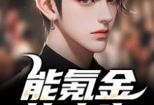 已完结小说《能氪金的人生,谁还肝啊》章节免费阅读-读书翁