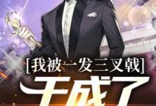 小说《我被一发三叉戟，干成了祁同伟！》在线章节阅读-读书翁