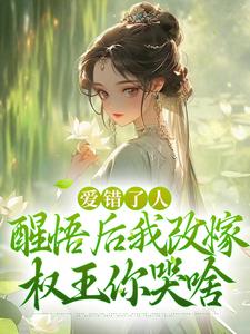 《爱错了人，醒悟后我改嫁权王你哭啥》全集免费在线阅读（唐瑈嘉秦斯珩）