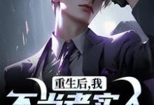 主人公秦守小说重生后，我不当老实人当浪子！在线阅读-读书翁