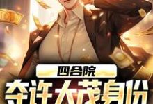 无删减版《四合院：夺许大茂身份，我成大好人》免费阅读-读书翁