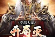 穿越大商,开局灭十万叛军小说在线无弹窗免费阅读-读书翁