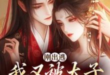 刚出逃，我又被太子绑回来了小说在线无弹窗免费阅读-读书翁