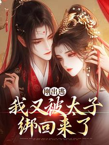 刚出逃，我又被太子绑回来了小说在线无弹窗免费阅读