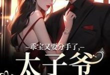 已完结小说《乖宝又要分手了，太子爷求贴贴》在线阅读-读书翁