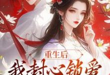 无删减版《重生后，我封心锁爱，皇帝请离开》章节目录在线阅读-读书翁