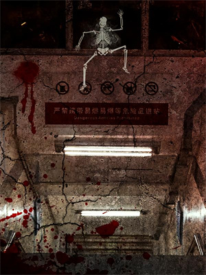 完结版《流年织云夏染帘》免费阅读