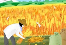 全村拒娶?我转身招赘美强惨公子最新章节,全村拒娶?我转身招赘美强惨公子免费阅读-读书翁