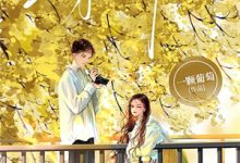 完结版《灯光下的明与暗》章节目录在线阅读-读书翁