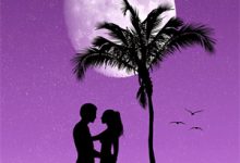 完结版《再见夭夭》章节阅读-读书翁