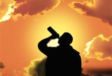 不生淮南不知夏小说的免费电子版在哪里可以下载或阅读？-读书翁