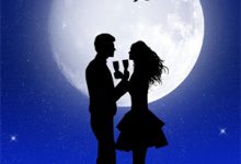 一代枭雄丁虎沈秋月小说免费阅读-读书翁