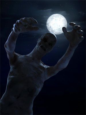 小说《风月与你再不相逢》在线章节阅读